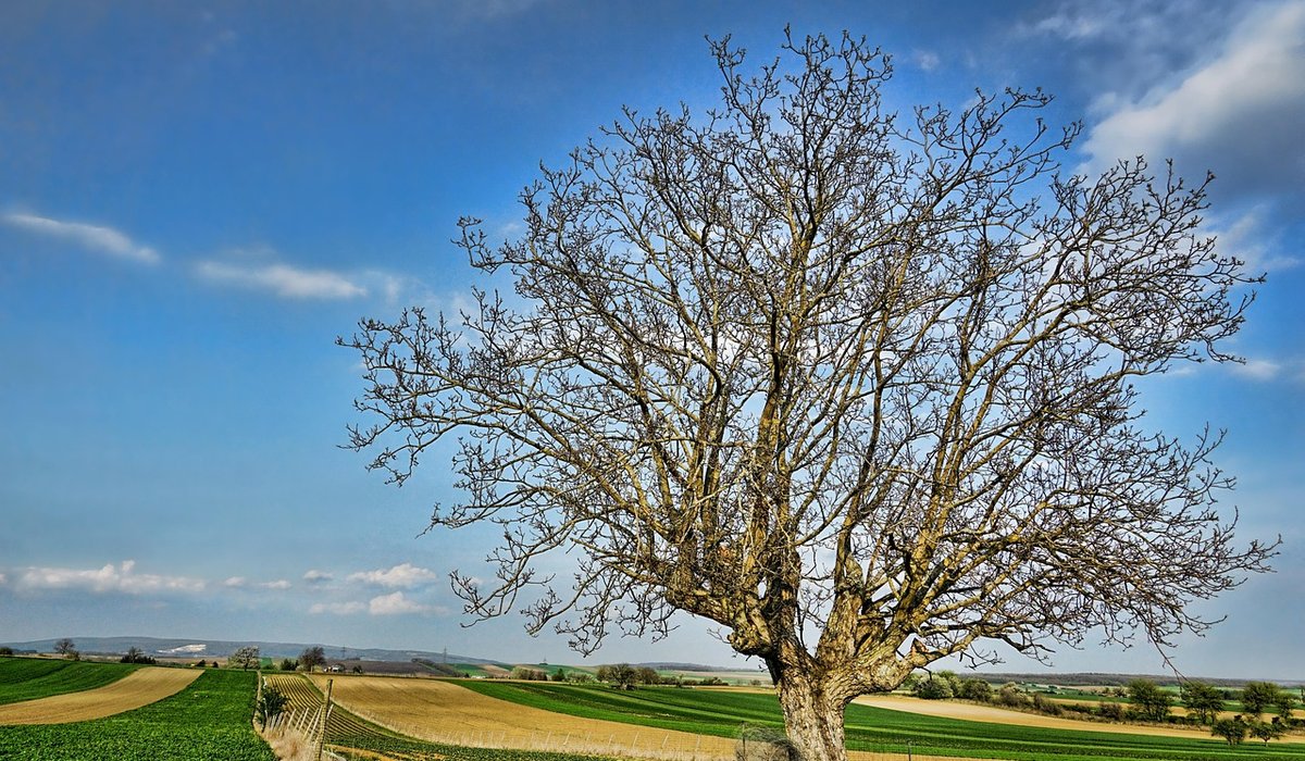 Educational Nature Trails for Kids in the Broads