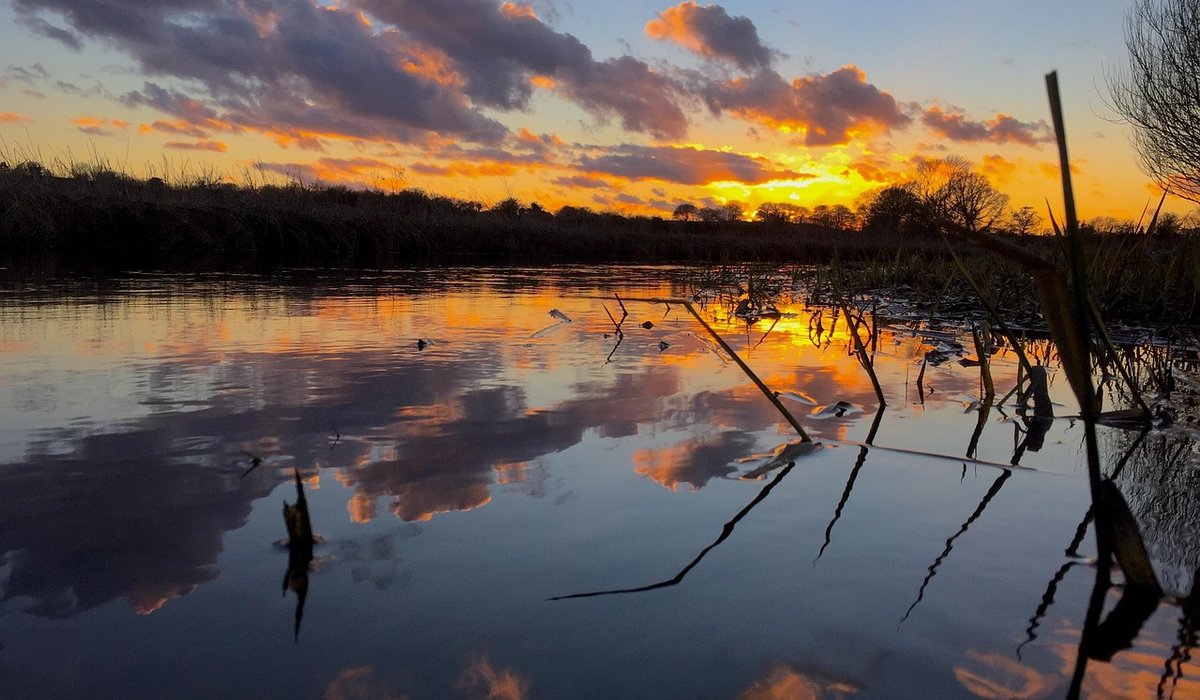 Scenic Circular Walks from Broads Villages